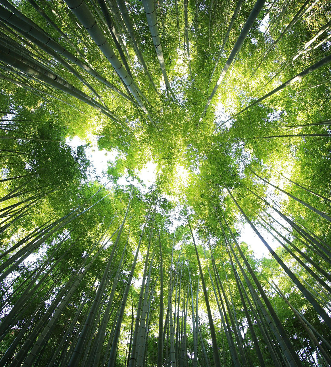 kazuend-19SC2oaVZW0-unsplash-scaled_vert