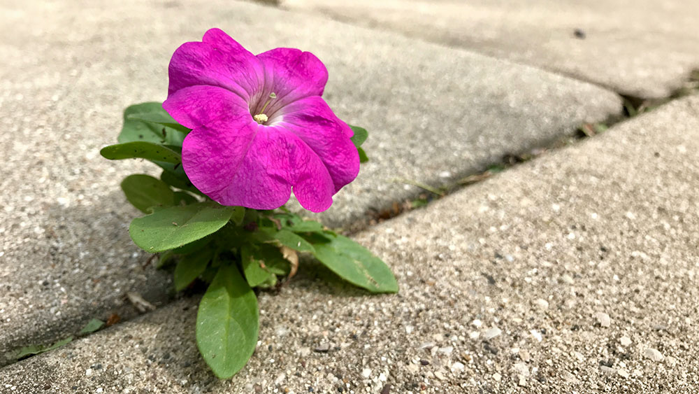 ted-balmer-Yst0UZ5CGsg-unsplash